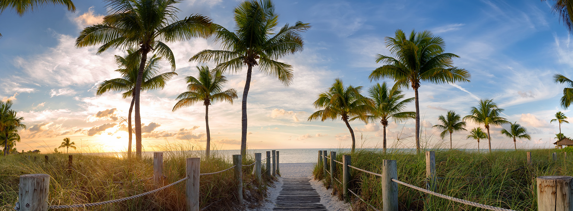 The image depicts a serene beach scene with palm trees, a sandy shoreline, and a sunset sky, captured from two different angles.